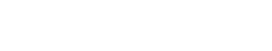 workfusion-white-logo